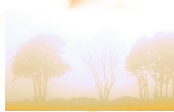 Sikh Genocide Project