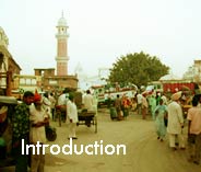 Sikh Genocide Introduction